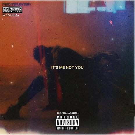 It's me, not you ft. AVOIIDED | Boomplay Music