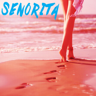 Senorita (Instrumental) lyrics | Boomplay Music