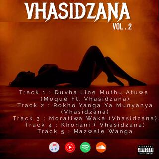 Mazwale wanga (Vhasidzana Vol.2)