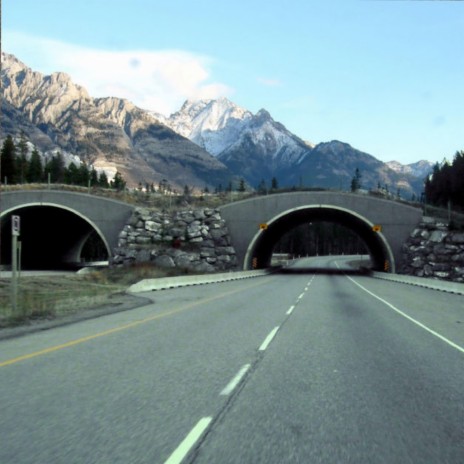 Trans Canada Highway 1 Wildlife Overpass (Version 2)