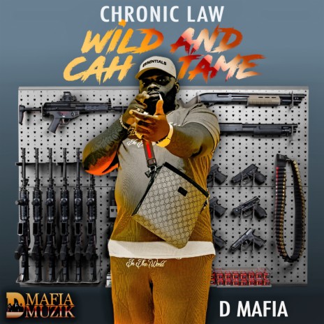 Wild and Cah Tame ft. D Mafia | Boomplay Music