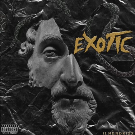 Exotic | Boomplay Music