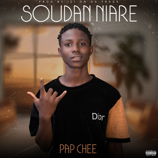 Soudan Niare