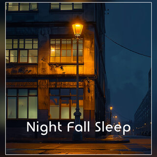 Night Fall Sleep