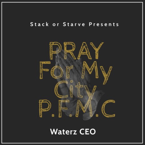 Pray For My City P.F.M.C | Boomplay Music