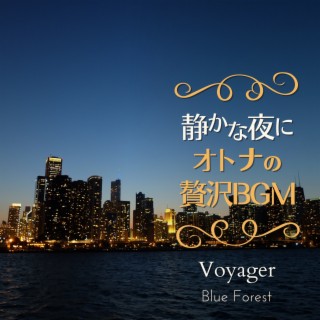 静かな夜に〜大人の贅沢bgm〜 - Voyager