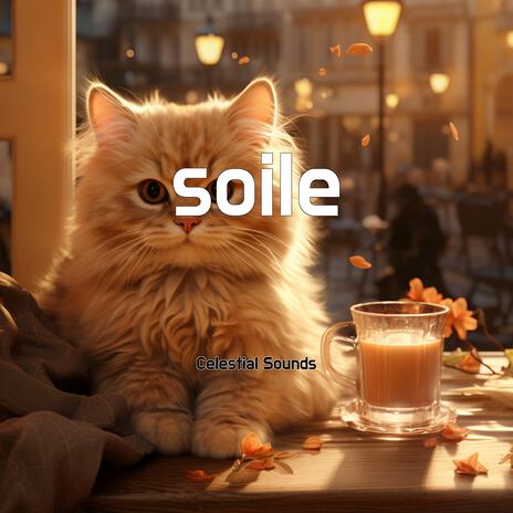 soile | Boomplay Music