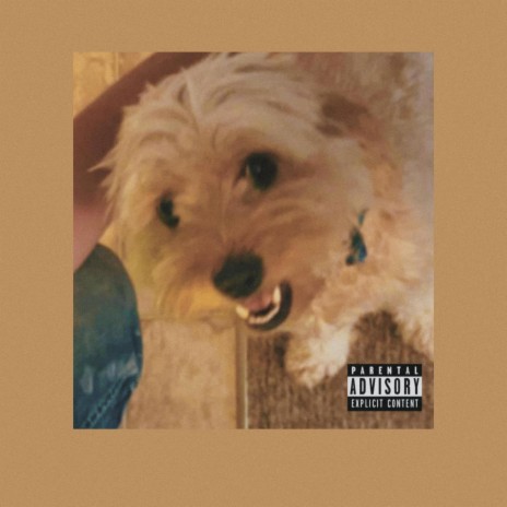 The Dawg In Me | Boomplay Music