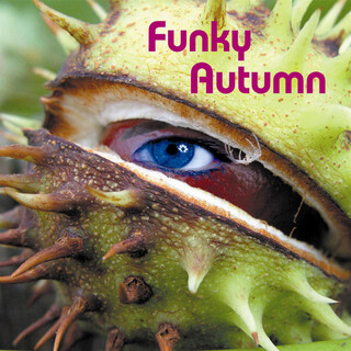 Funky Autumn