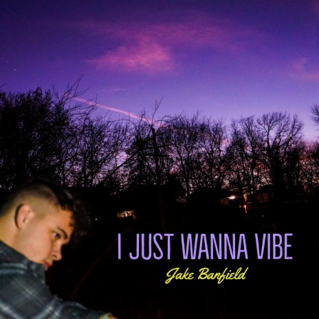 I Just Wanna Vibe | Boomplay Music
