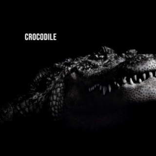 CROCODILE