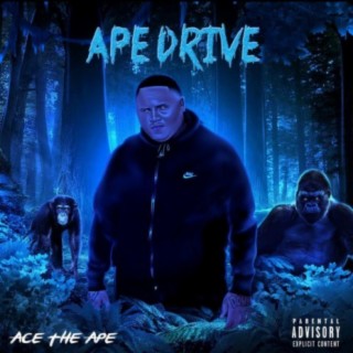APE Drive