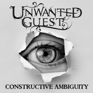 Constructive Ambiguity lyrics | Boomplay Music