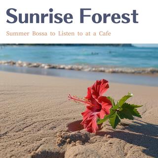 Summer Bossa to Listen to at a Cafe