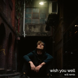 Wish You Well lyrics | Boomplay Music