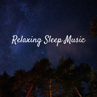 Relaxing Sleep Music