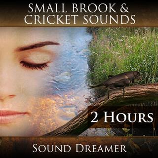 Small Brook and Cricket Sounds (2 Hours)