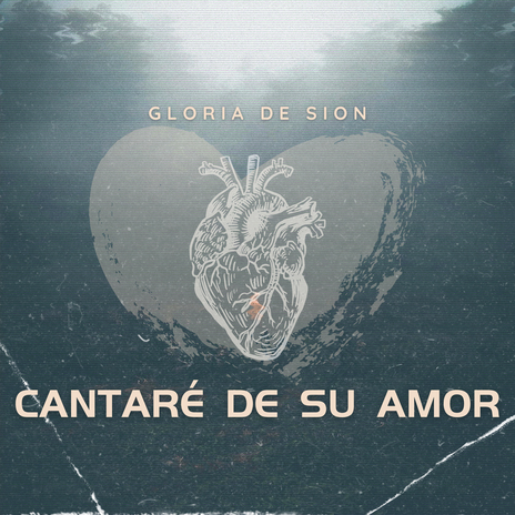 Cantaré De Su Amor | Boomplay Music