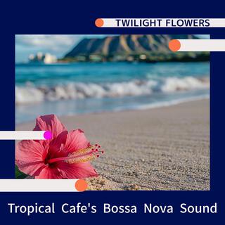 Tropical Cafe's Bossa Nova Sound