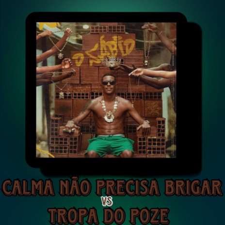 Calma Não Precisa Brigar X Tropa do Poze ft. mc pl alves & mc beatriz | Boomplay Music