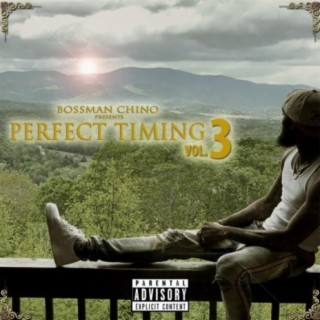 Perfect Timing Vol 3