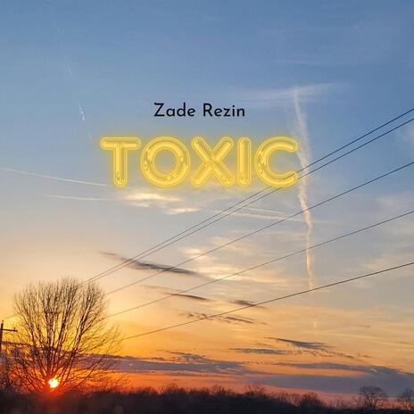 Toxic | Boomplay Music