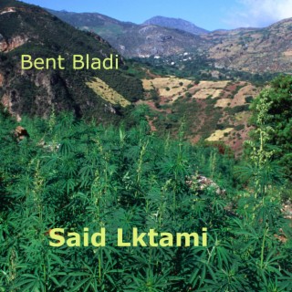 Bent Bladi