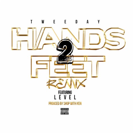 Hands 2 Feet (Remix) ft. Level | Boomplay Music
