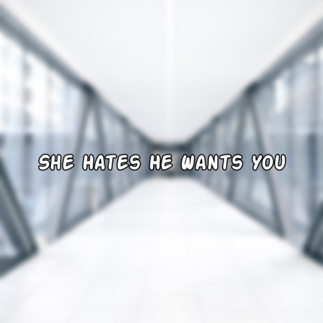 She Hates He Wants You | Boomplay Music