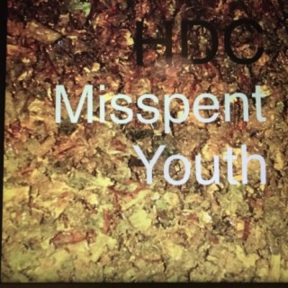 Misspent Youth