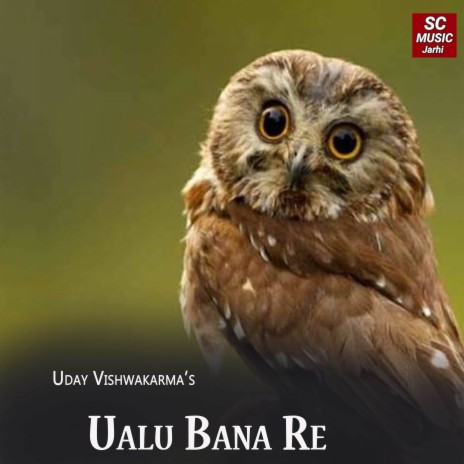 Ualu Bana Re | Boomplay Music