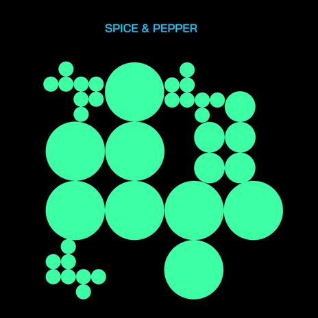 Spice and Pepper (Dub Mix) ft. Kayden Wayans & We Need a Change | Boomplay Music