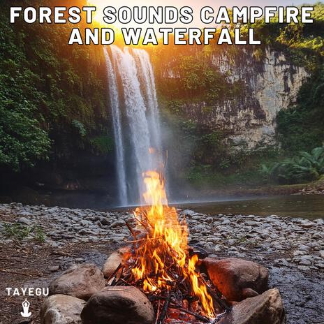 Forest Sounds Campfire and Waterfall River Birds Chirping Camping 1 Hour Relaxing Nature Ambient Yoga Meditation Sounds For Sleeping Relaxation or Studying | Boomplay Music