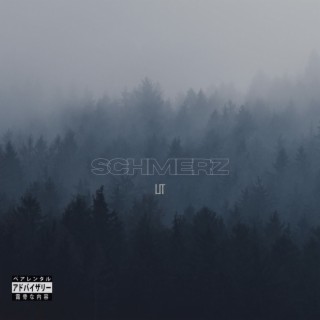 Schmerz