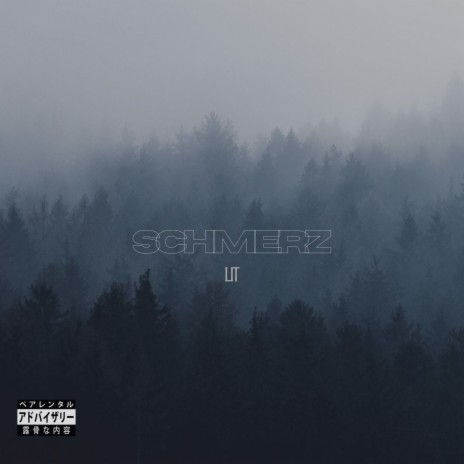 Schmerz | Boomplay Music