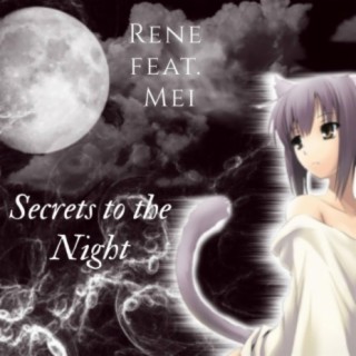 Secrets to the Night (feat. MEI)