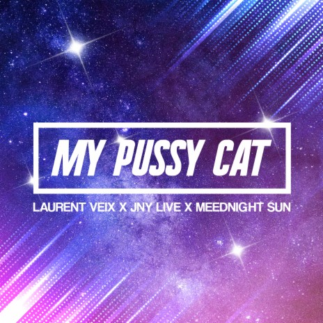 My Pussy Cat (French Radio Edit) ft. JNY Live & Meednight Sun | Boomplay Music