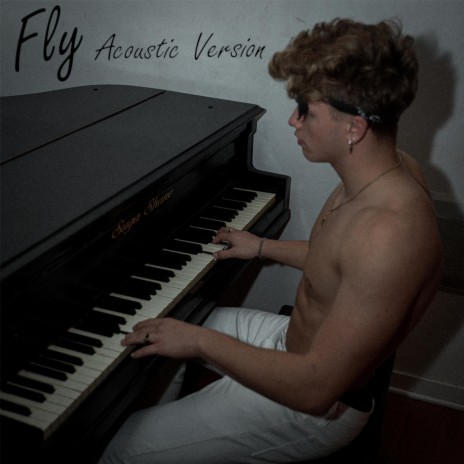 Fly (Acoustic Version) | Boomplay Music