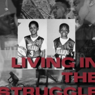 Living in the Struggle (feat. D Harris)