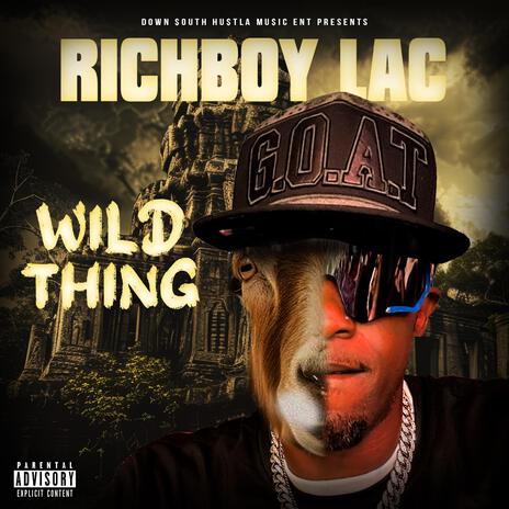 Wild Thing | Boomplay Music