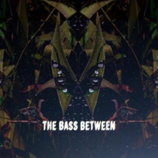 The Bass Between