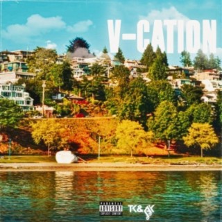 V-cation