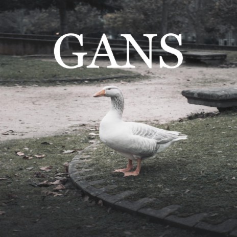 Gans