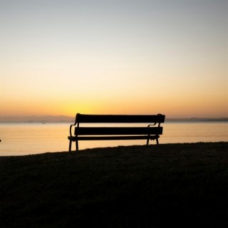 Bench Thoughts