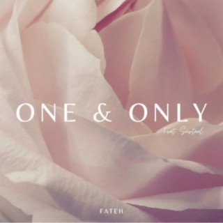 One & Only (feat. Surtaal)