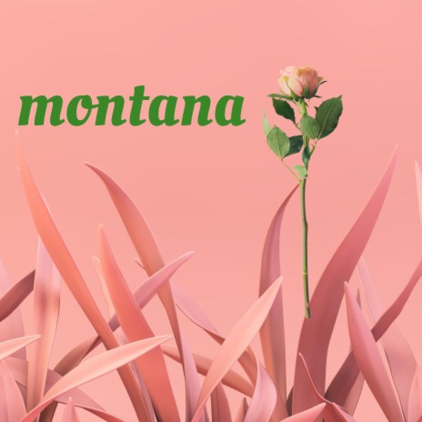 Montana ft. Asher myhrry | Boomplay Music