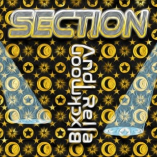 Section (feat. Andi Rella)