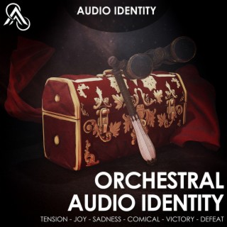 Orchestral Audio Identity