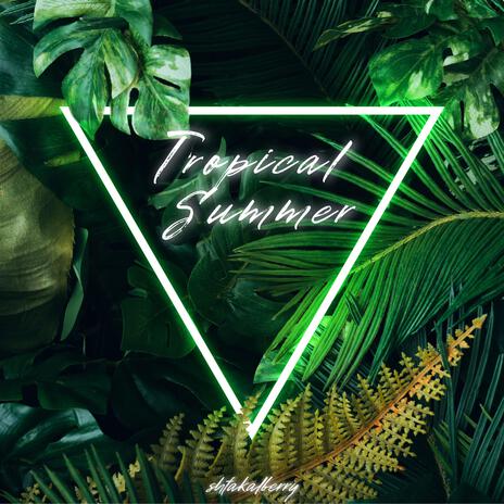 Tropical Summer | Boomplay Music