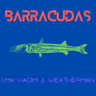 Barracudas